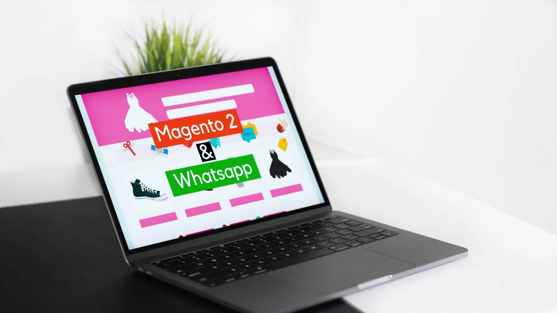 Magento & Whatsapp