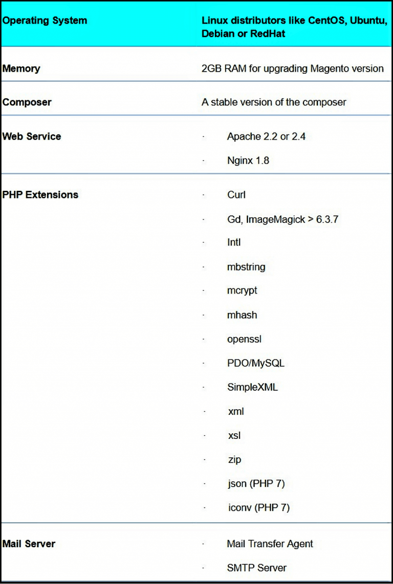 System Requirements For Your Magento Store