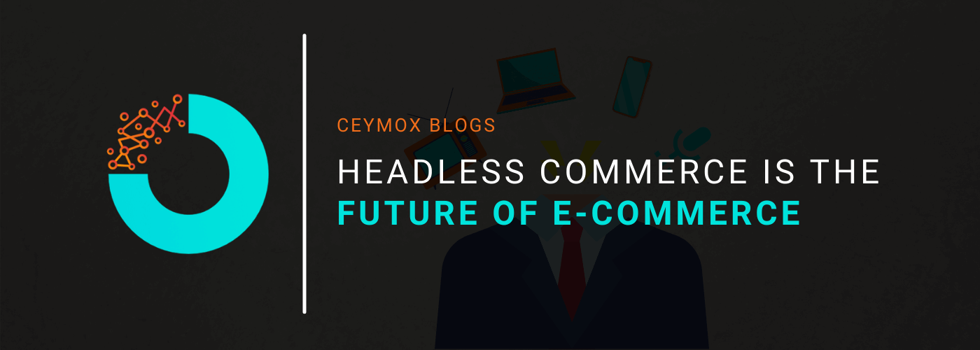 Headless Commerce is the Future of E-commerce A Complete Guide