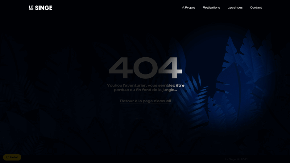 Le Singe 404 Page