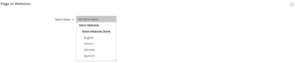 Pages In Website
