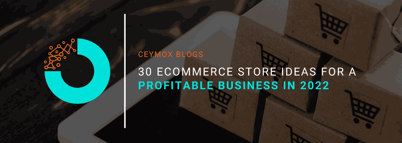 30 Ecommerce Store Ideas For a Profitable Business in 2022