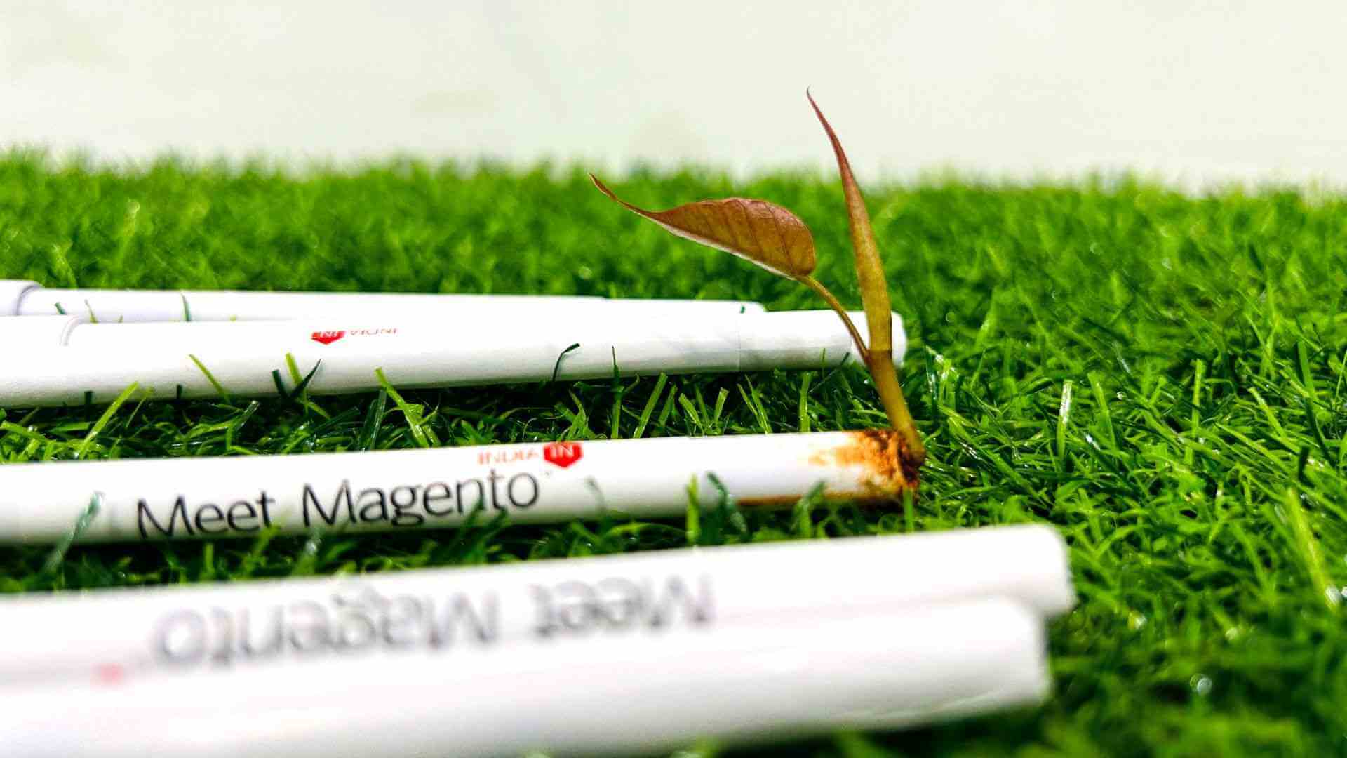 Meet Magento India 2023 Seed Pen