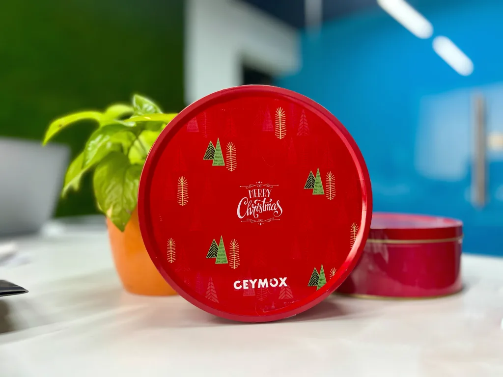 Christmas Cake - Ceymox
